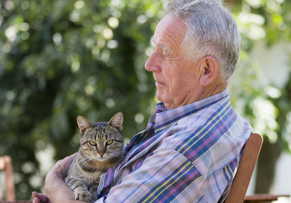 gatto con anziano